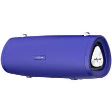 Zealot s39